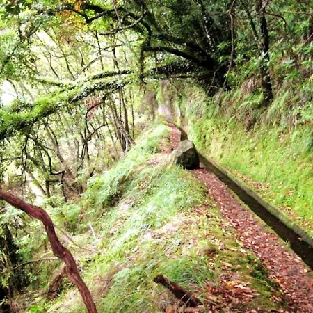 Holiday Estrada Da Achada Do Pico Holiday home