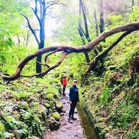 Holiday Estrada Da Achada Do Pico * Sao Jorge (Madeira)
